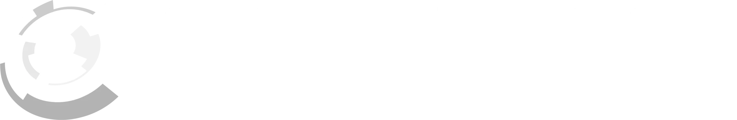 Stranzinger-Logistik-Logo-weiß